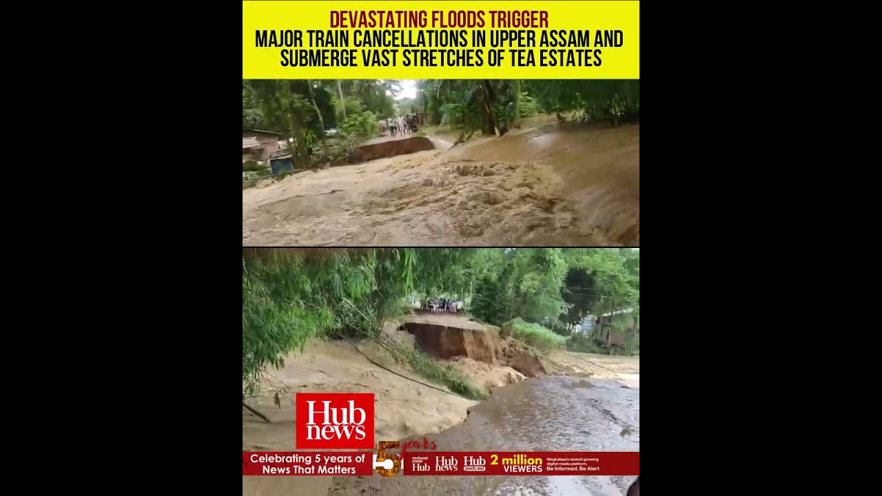 Floods submerge Upper Assam tea estates and trigger major train cancellations
