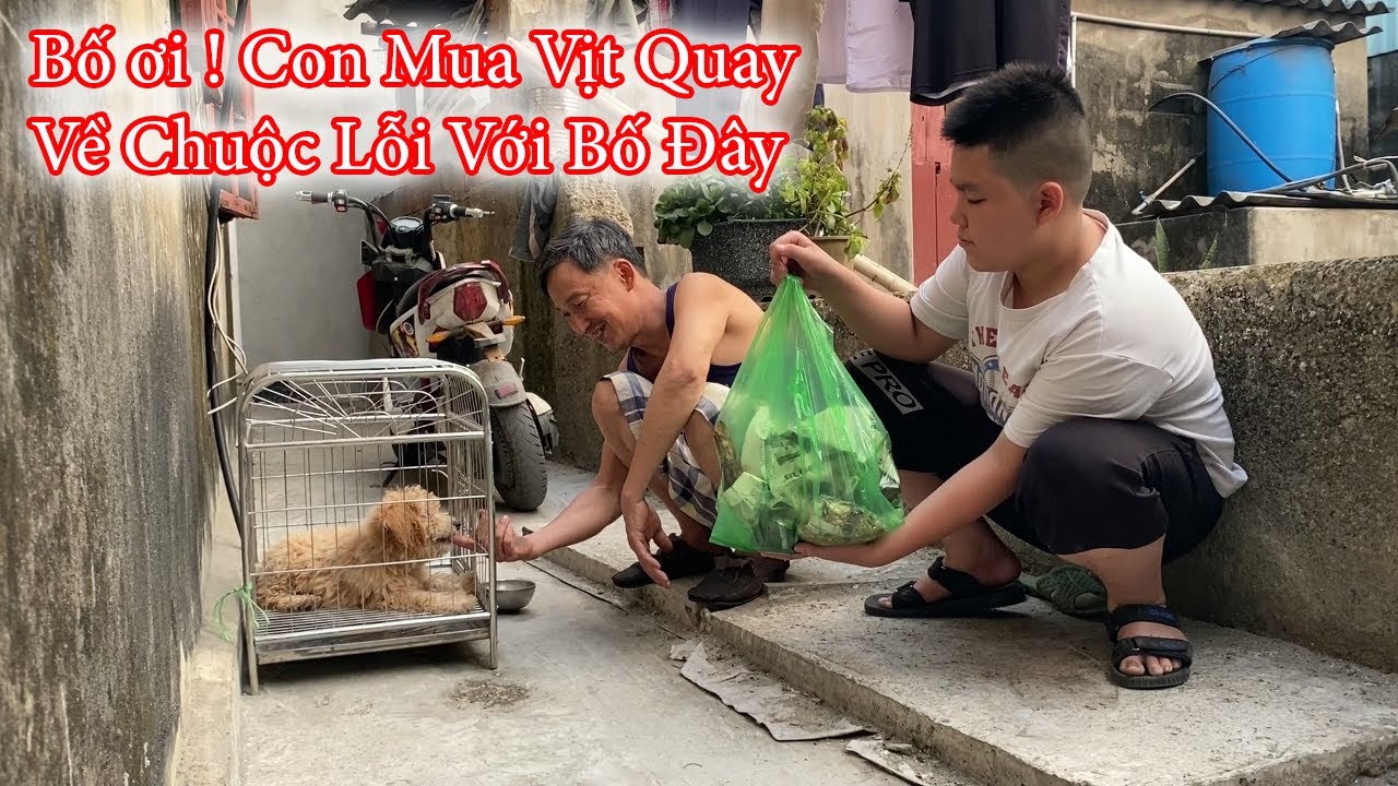 Điệp Lợn Bất Ngờ Vay 200K Mua Vịt Quay Về Chuộc Lỗi Với Bố Vụ Hất Mâm Bát || HGN Vlogs