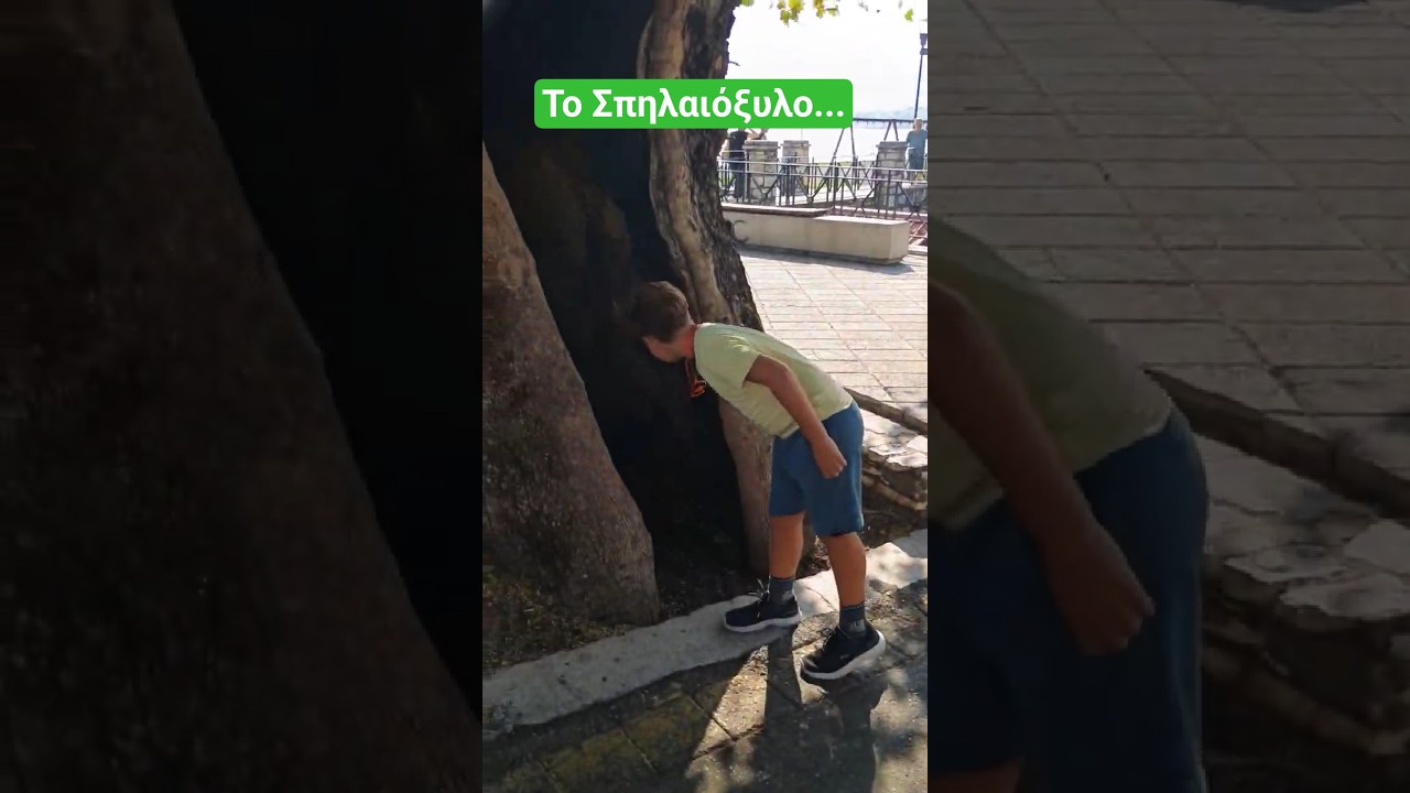 &Tau;&omicron; &sigma;&pi;ή&lambda;&alpha;&iota;&omicron; &alpha;&pi;ό... &xi;ύ&lambda;&omicron;!!! #shorts #filippoupoli
