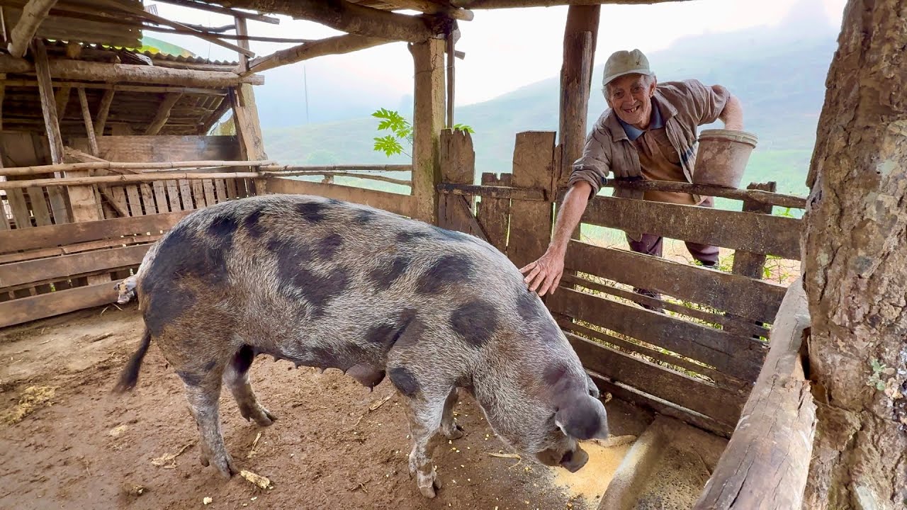 Visitando o sítio do seu Tunico e da dona Denise. Apesar das perdas são um exemplo de superação…