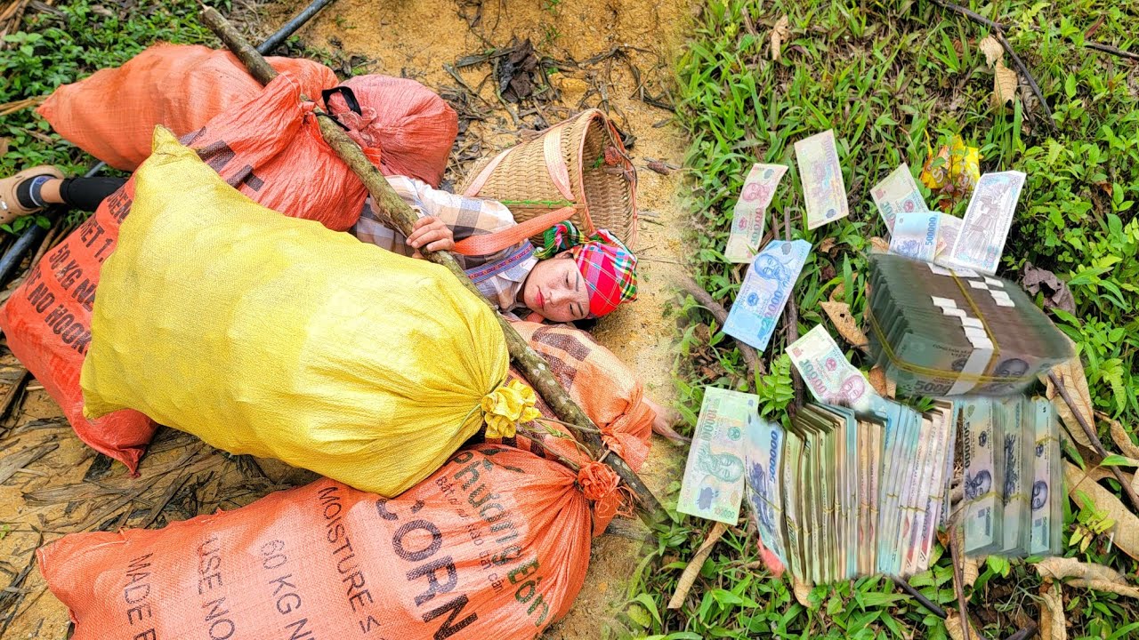 Young girl earns a lot of money from collecting scrap