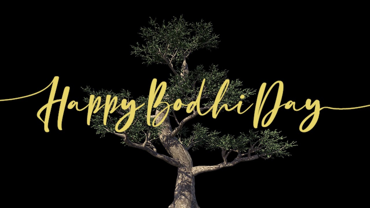 2 Hour Happy Bodhi Day Background Video with Music