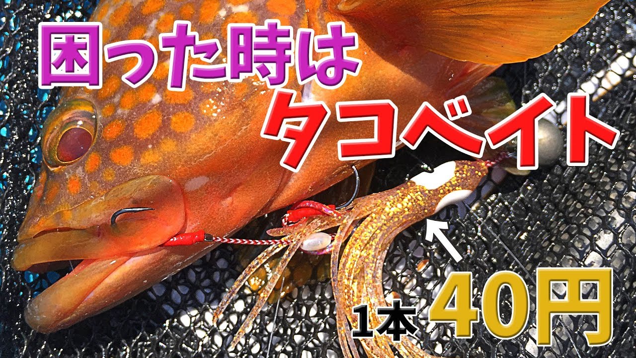 何を投げてもキジハタ（アコウ）が釣れない時タコベイトを使ったら簡単に釣れます ロックフィッシュ SUPフィッシング