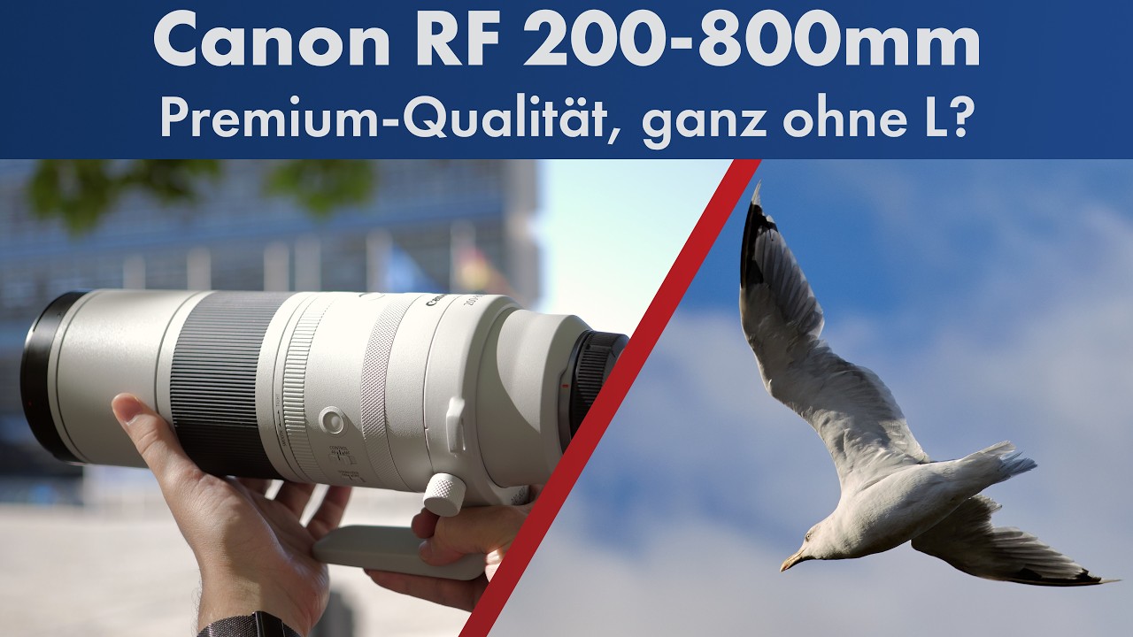 Canon RF 200-800mm IS USM | Super-Tele-Zoom im Test [Deutsch]