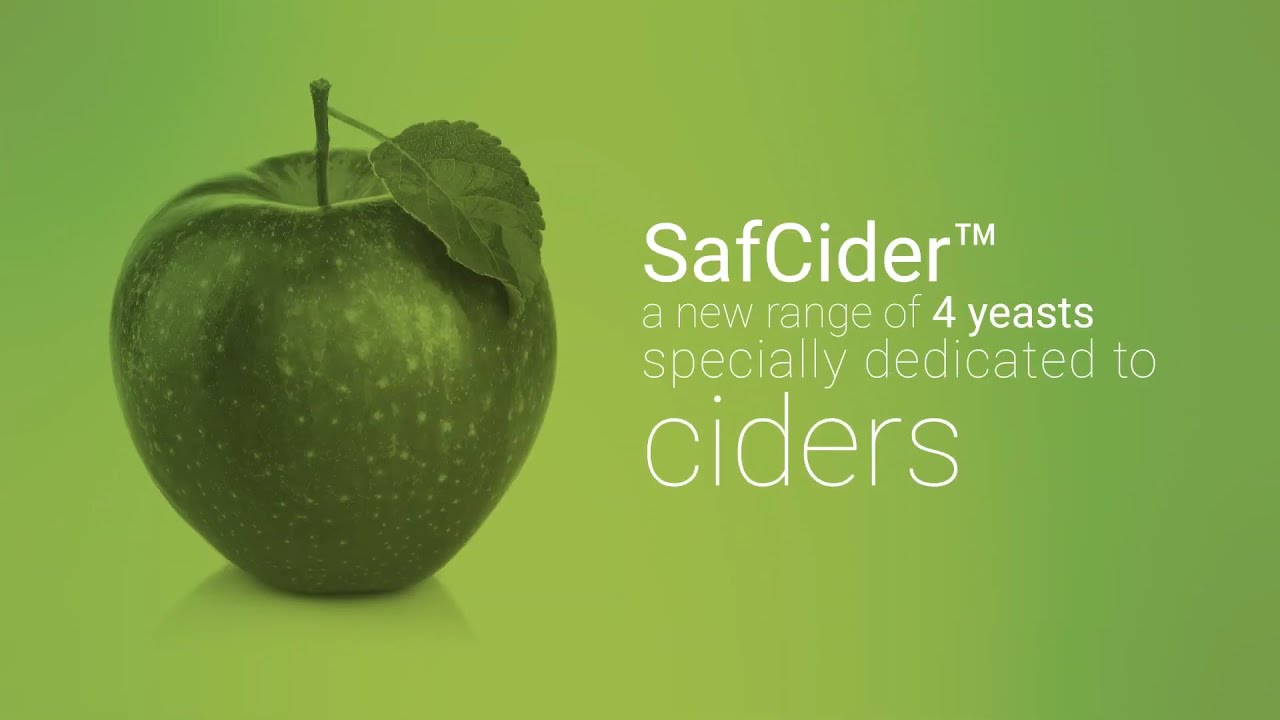 SafCider™ range - Introducing the Fermentis cider yeast range