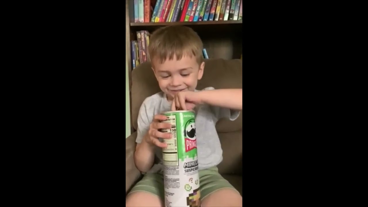 Minecraft Pringles Suspicious Stew - First Taste