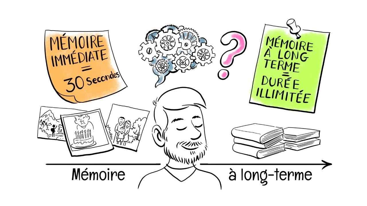 Whiteboard #5 Les mécanismes moléculaires de la mémoire à long-terme