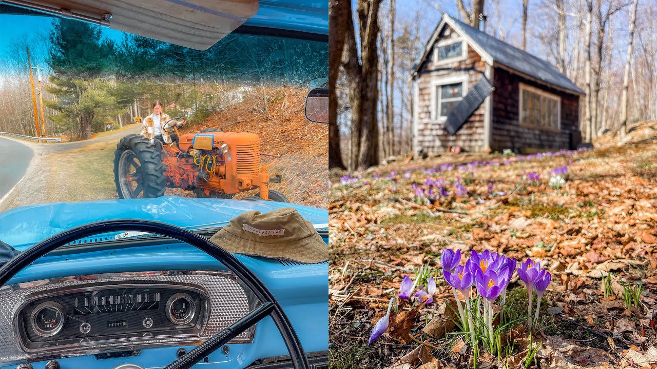 As Spring Bloomed in Rural New England