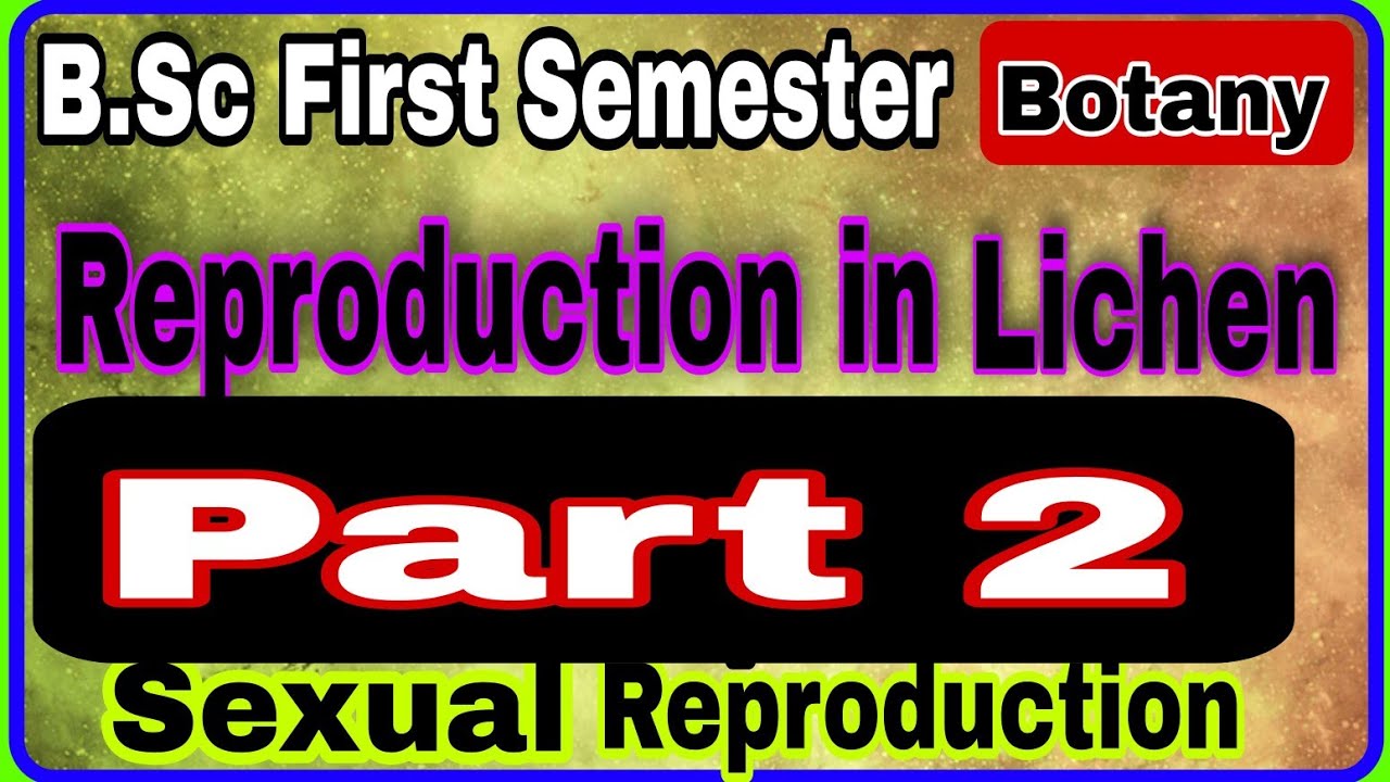 Sexual Reproduction in Lichen#educationalvideos.#viralvideos.