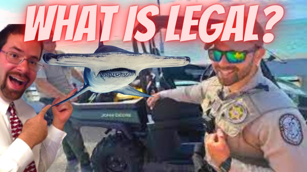 Has Social Media DESTROYED Shark Fishing? | What is Legal? (LBSF)