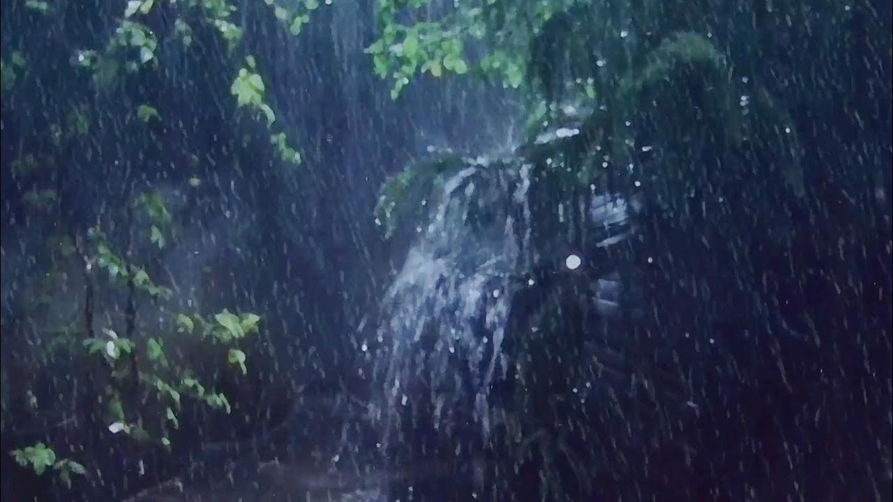 Peaceful Rain and Distant Thunder for Sleep & Study