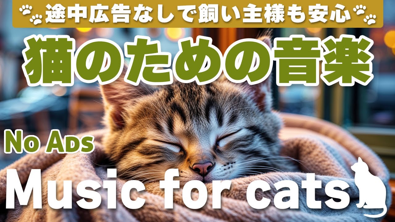 猫が落ち着く音楽/途中広告なしで安心/リラックス/12時間/cat relaxing music/No Ads/12 hours/Relaxing music for cats_vol.226