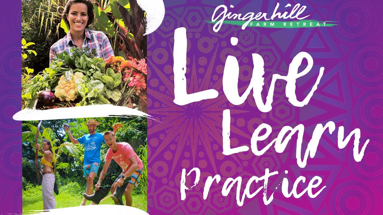 Life Changing Hawaii Internship