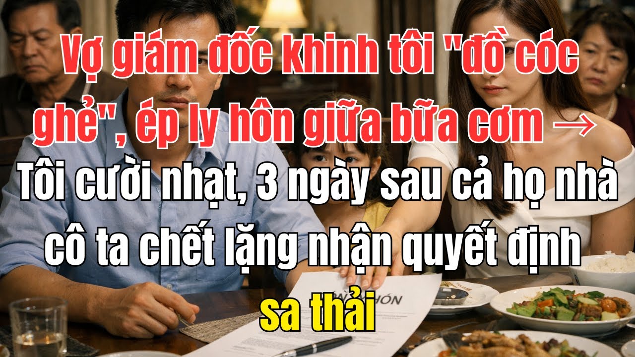 Vợ Giám Đốc Ép Ly Hôn Giữa Bữa Cơm - Tưởng Tôi Là Cóc Ghẻ, Ai Ngờ 3 Ngày Sau…