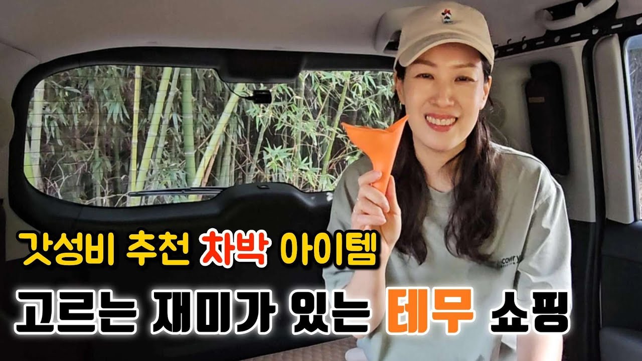 말도 안되는 가성비 차박 아이템 고르는 재미가 있는 알찬 테무 쇼핑