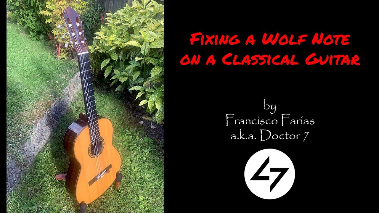Wolf notes on a classical guitar: How to fix them?