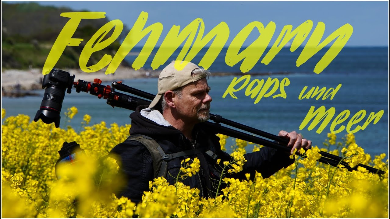Fehmarn Raps und Meer