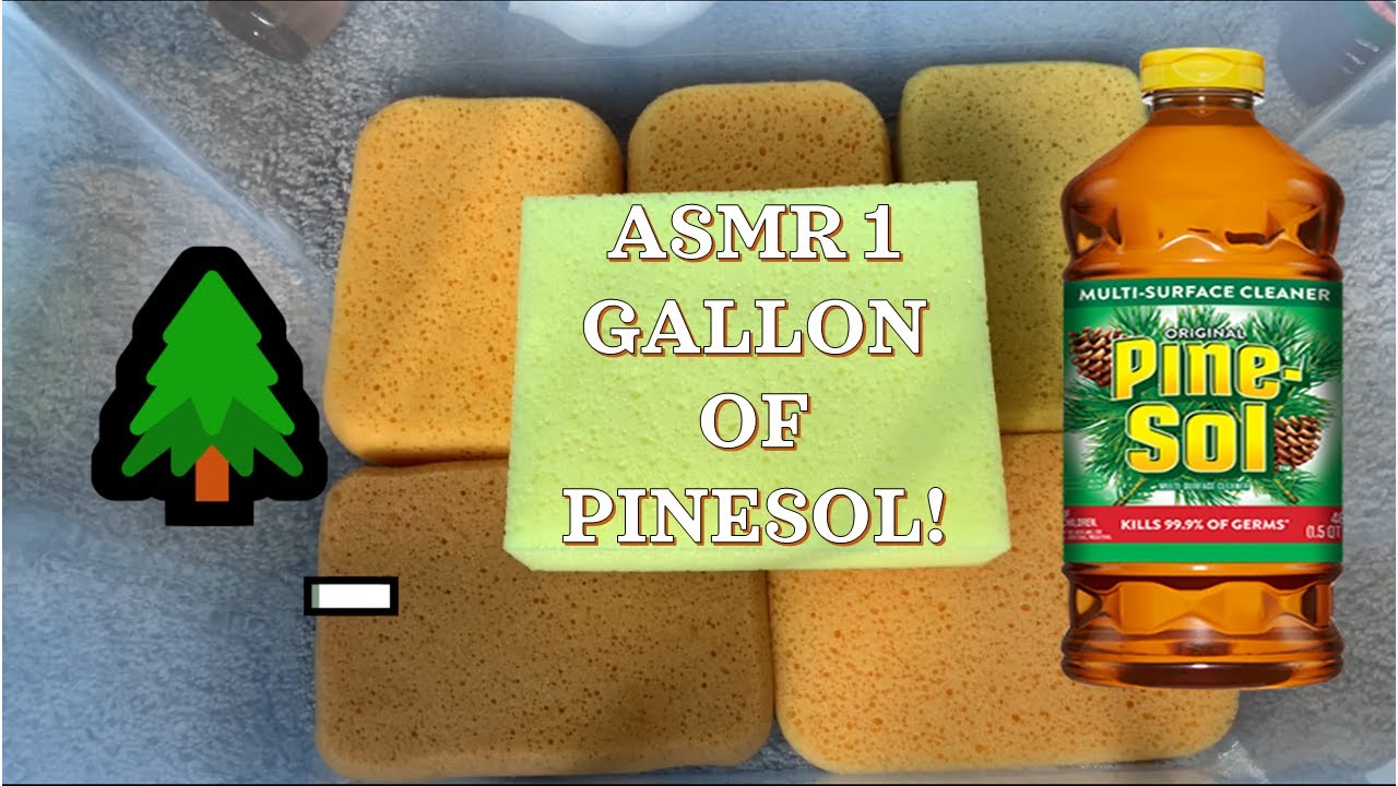 🎇🌲1 Gallon of Pinesol! 300 Sub Special! ASMR Bucket Sponge Squeezing! w/ Block Sponge & Grouts 🌲🎇