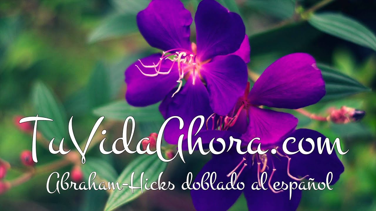 Abraham-Hicks en español ~ Controla el cuándo de tus manifestaciones