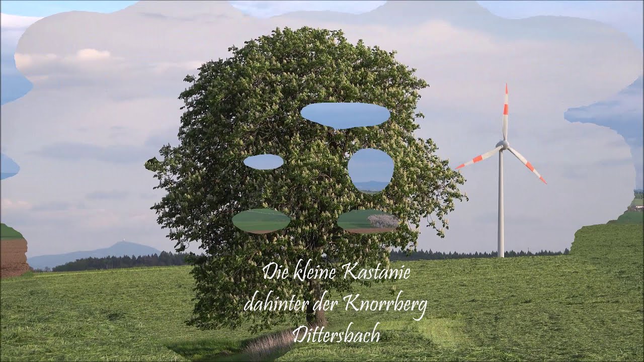 Bernstadt Heimat Fr&uuml;hjahr 2020 (Bernstadtbilder)