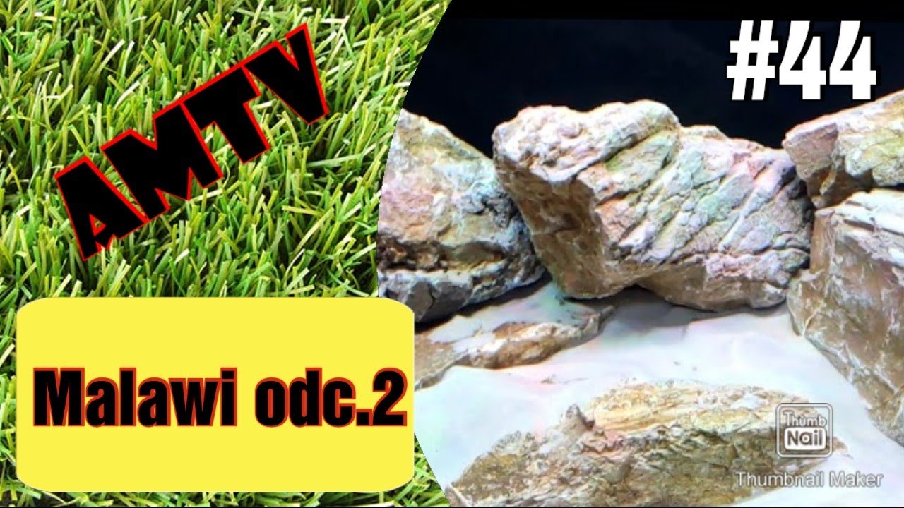 44#Malawi - Jak założyć akwarium z biotopem jeziora Malawi. Część 2.