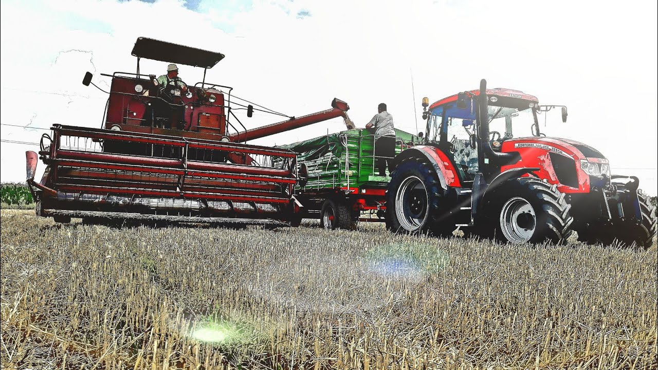 Żniwa pszenicy ozimej 2018 / 2x Zetor i Bizon super z056