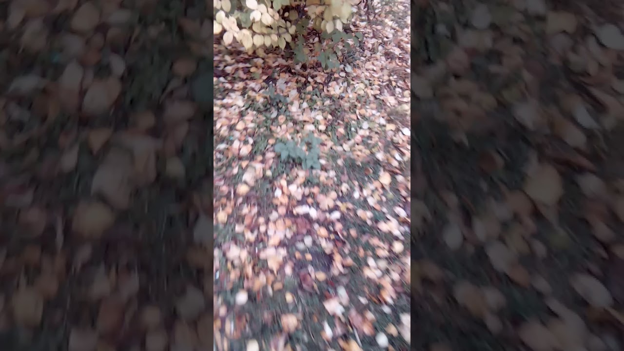 Autumn in Russia/13/L'automne en Russie/13/Herfs in Rusland/13