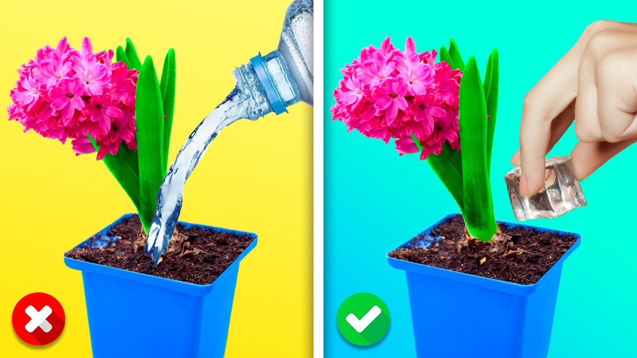 24 MARAVILLOSOS TRUCOS DE JARDINERÍA QUE DESEARÍAS HABER SABIDO ANTES
