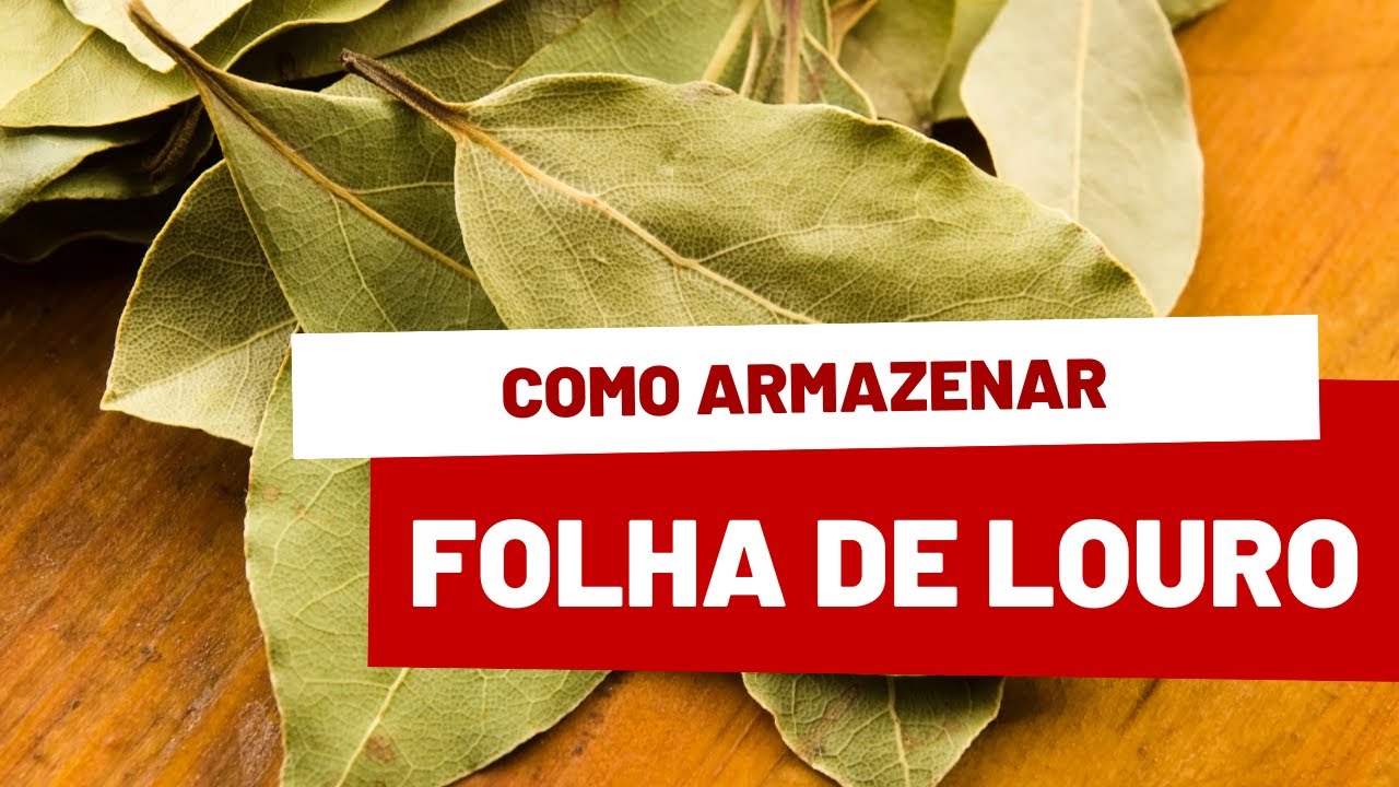 Como armazenar folha de louro seca e fresca