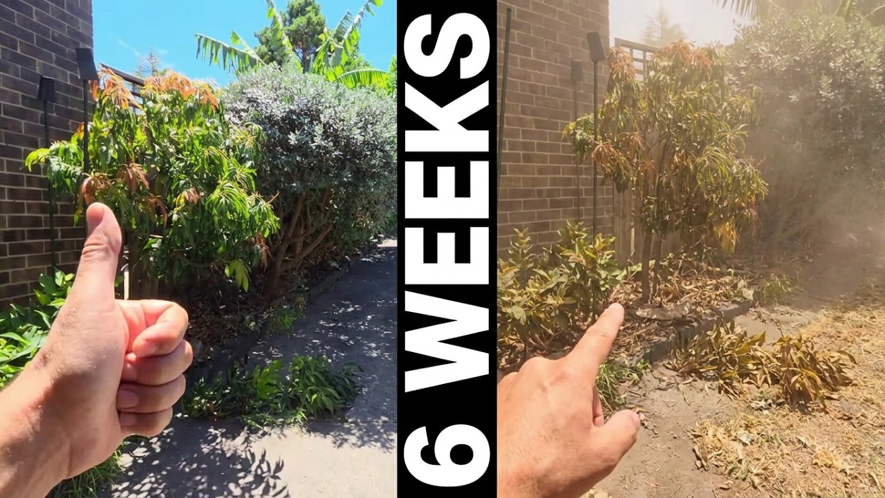 6 Weeks No Rain. 3 Days of Nasty Wind Part 2