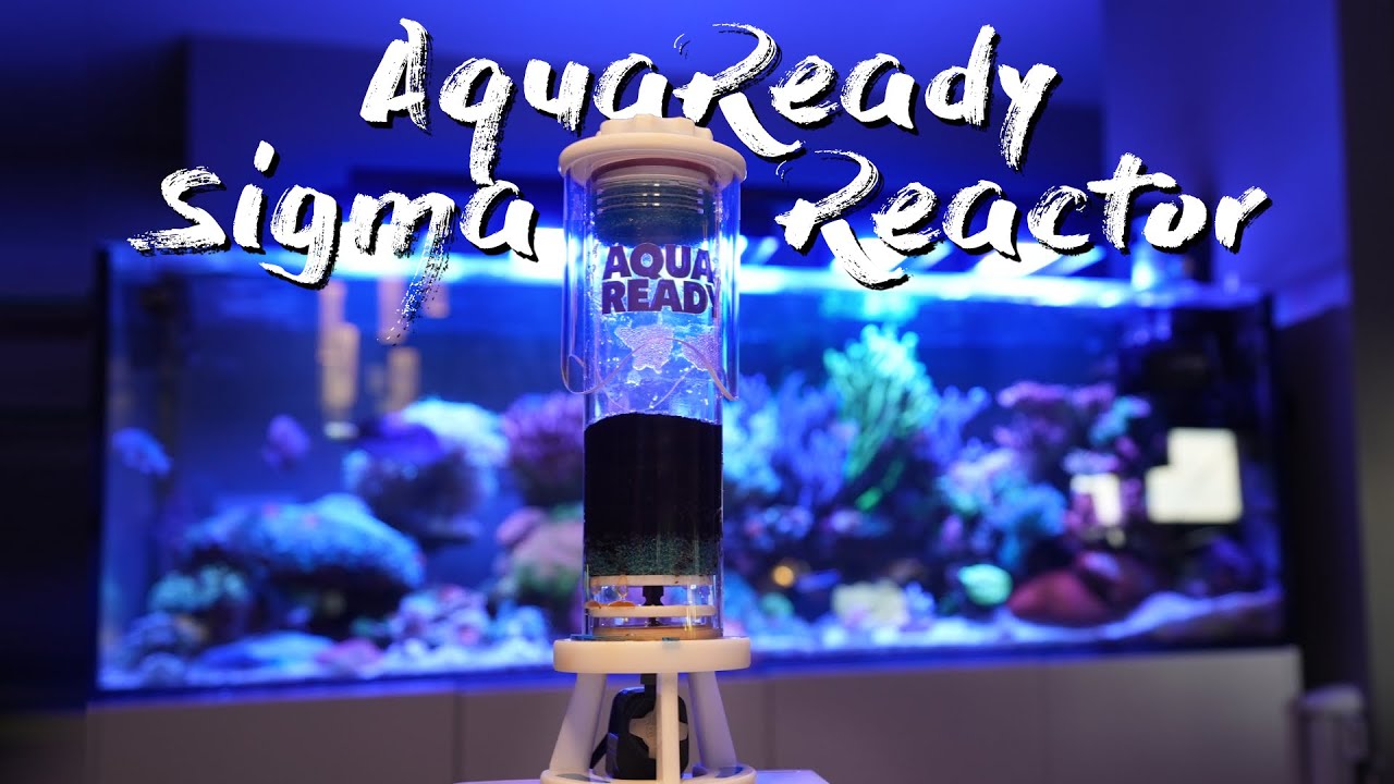 AquaReady sigma 1 - Media Reactor Review