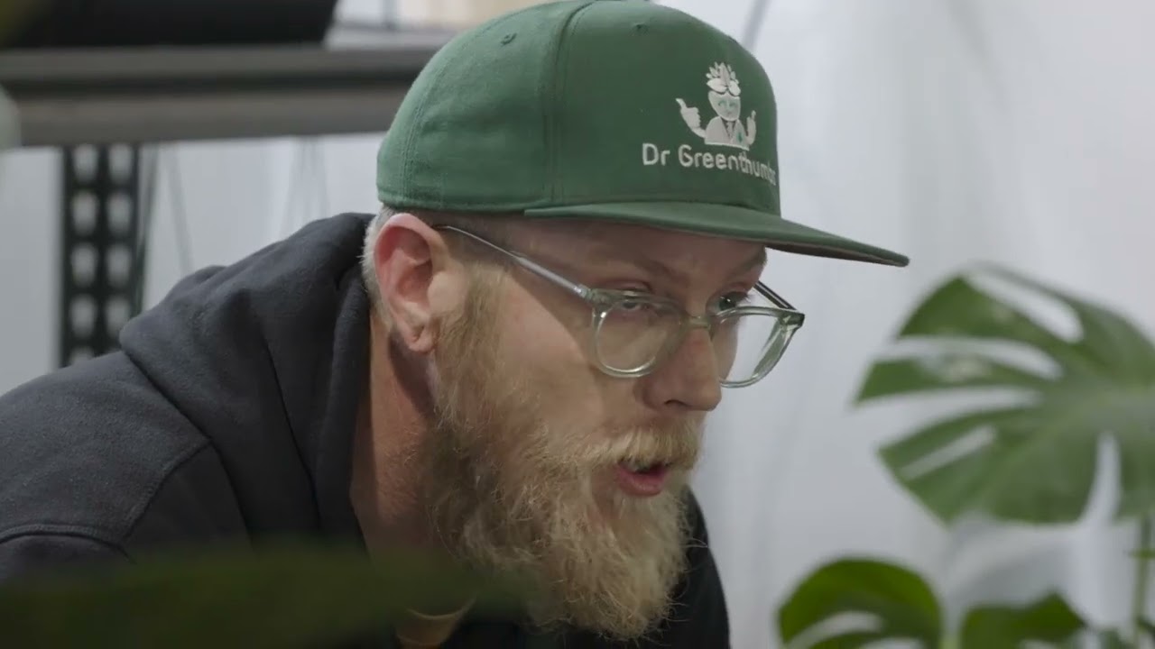 Dr Greenthumbs - TurboDirt & Compost Tea
