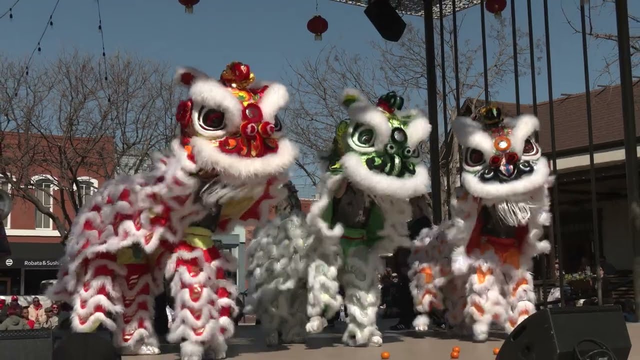 Celebrate Lunar New Year with the City of Plano!