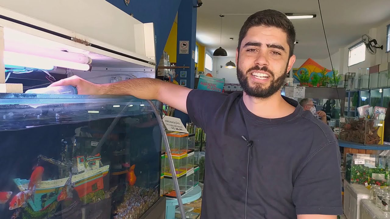 Limpando um Aquário Usando Sifão