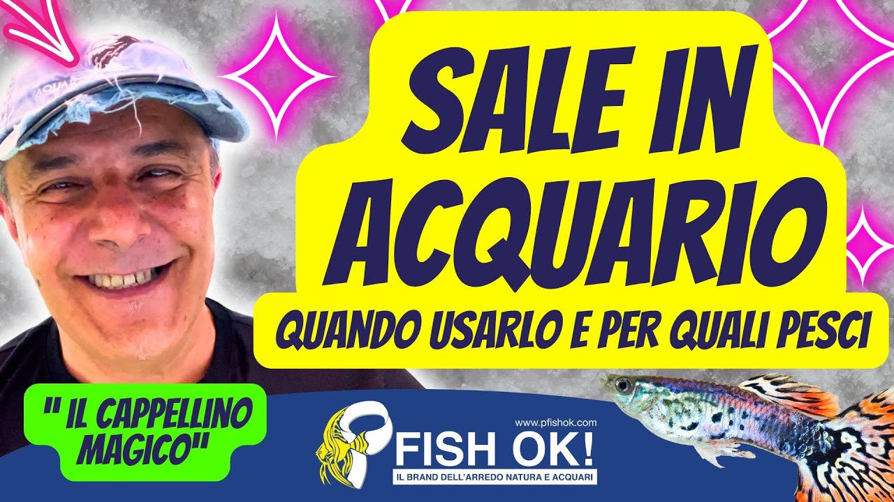 🧂🐟 Sale in Acquario: quando usarlo e con che pesci? Rispondo alle vostre domande #2