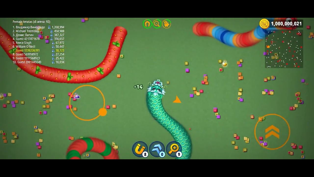 Dragon worms fail to become number 1 in the world worm zone 😭