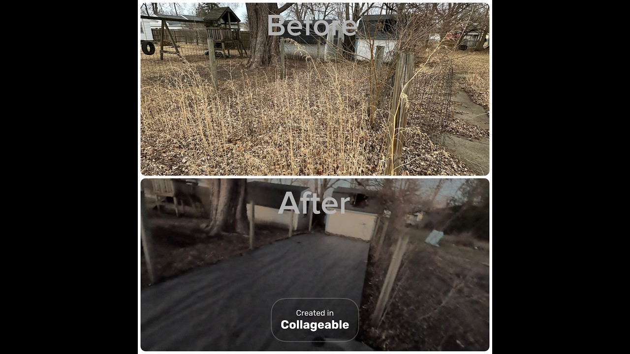 Satisfying Backyard Cleanup Transformation | Overgrown to Clean