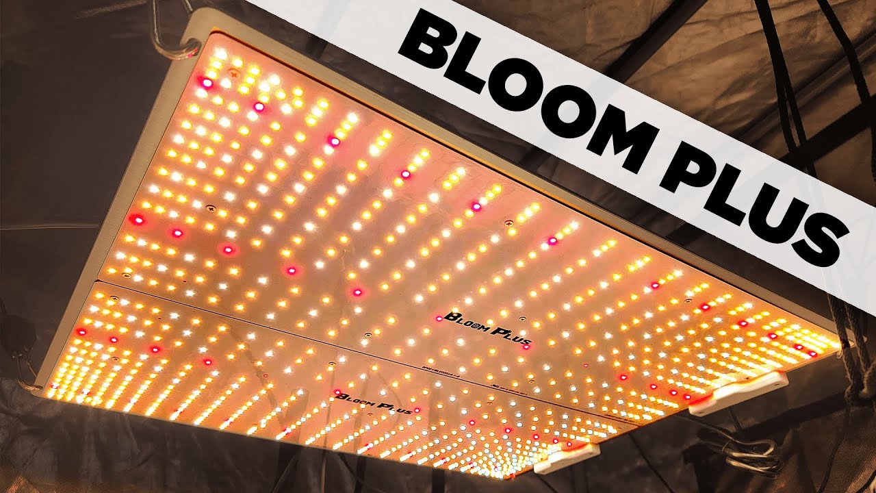 Распаковка и обзор светодиодного фитолампа Bloom Plus XP-4000 XP4000 - LM301H Full Spectrum 1500 2500 3000