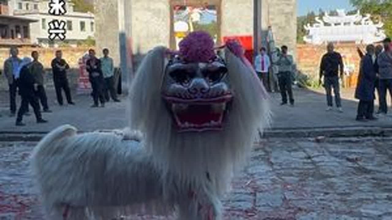 人间的饭，吃一碗少一碗，身边的人，见一面少一面，脚下的路，走一天少一天；其实人生就是一个减法，来日并不方长... #非遗文化传承 #舞狮表演 #湖南小白狮 #我要上热们 #老秋舞狮团