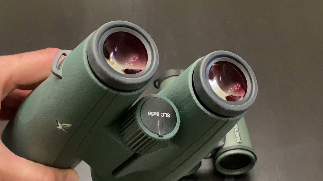 Swarovski EL 8.5x42 vs SLC 8x56 binoculars