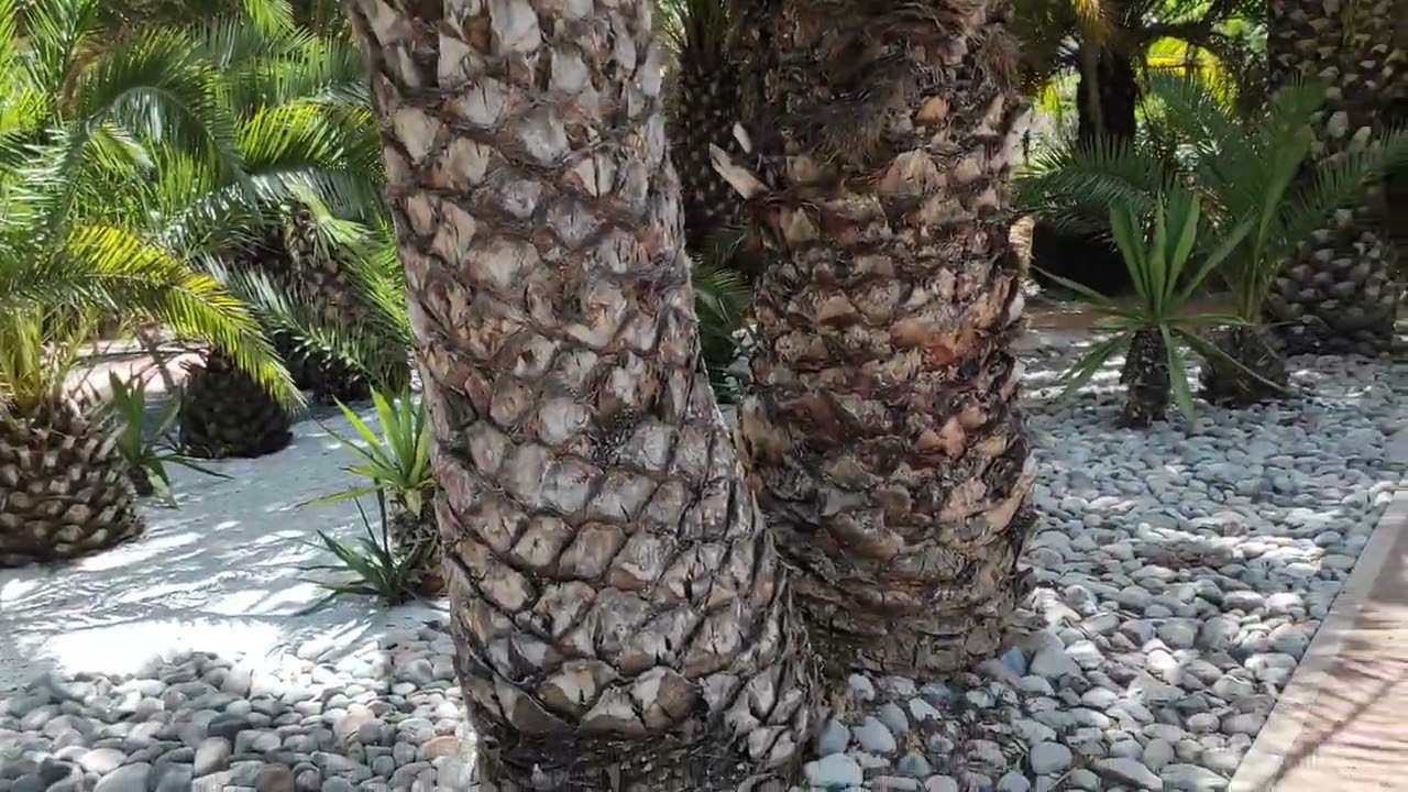 jardin d'essai botanique rabat
