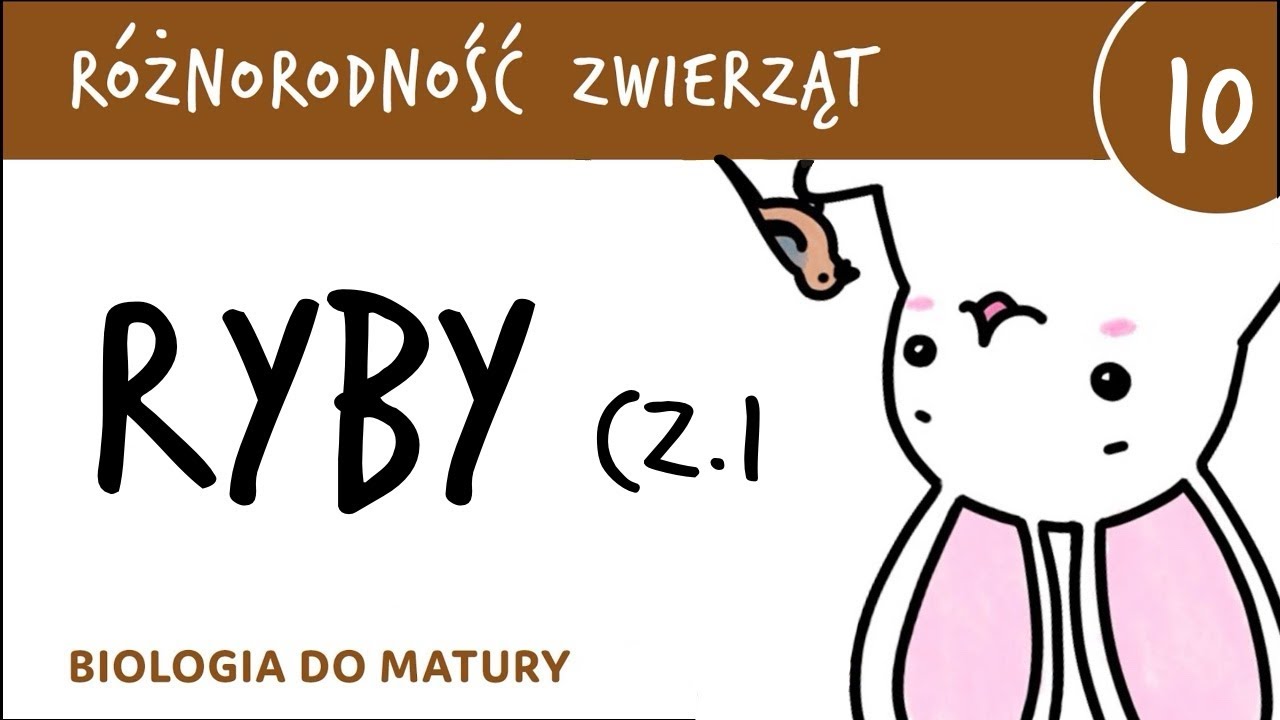Różnorodność zwierząt 10 🐸 Ryby cz.1 - biologia do matury
