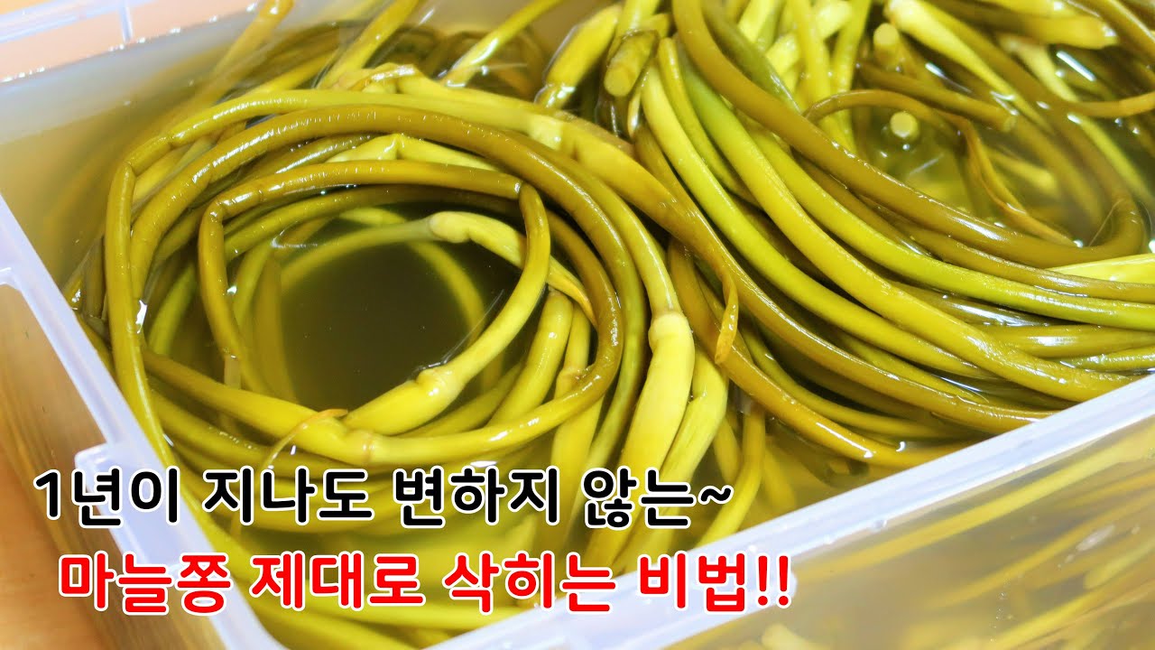 정말 맛있는 매콤달콤한 마늘쫑고추장장아찌 담그는법~ 마늘쫑 이대로 삭혀서 1년 두고두고 즐겨보세요.