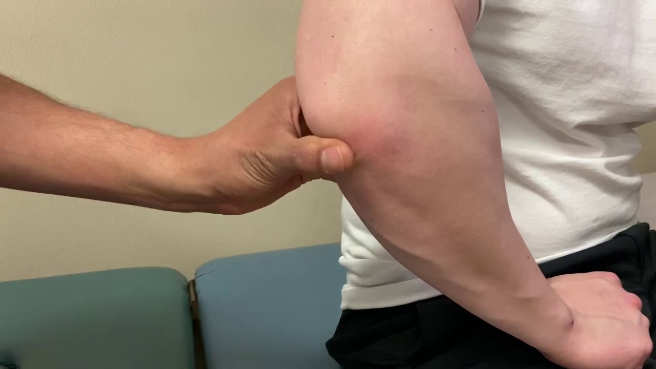 Palpation for the Elbow