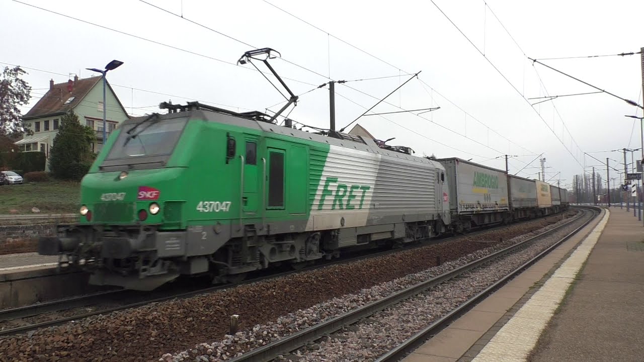 (HD) Trains at Saverne station, France - 21/11/18