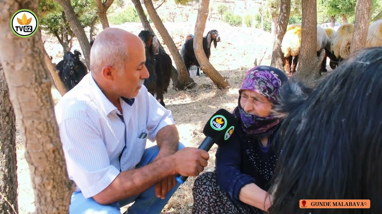 JİYANE SEMSURE ( GUNDE MALE BAVA )