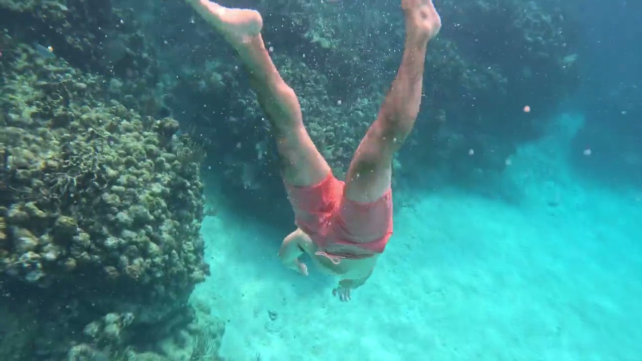 Roatan Snorkeling - West Bay Beach, February 2025