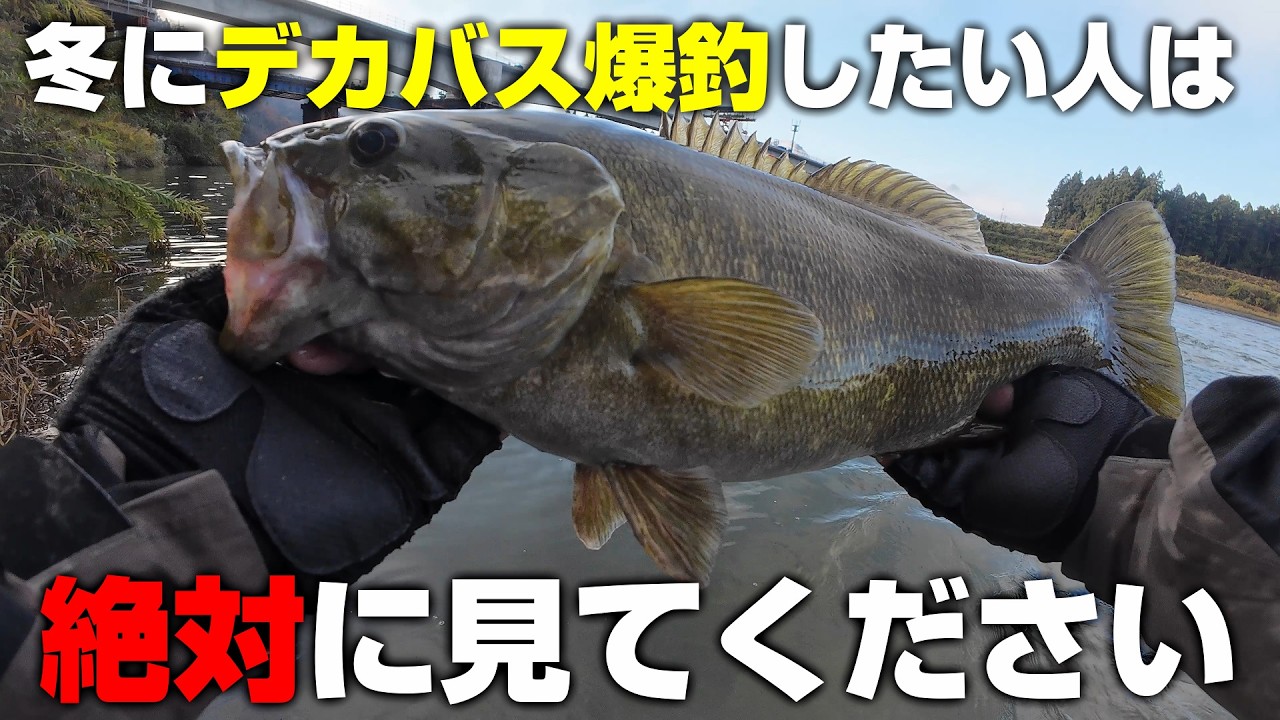 めちゃくちゃ飛んで全く根がからない最強セッティング！冬のスモラバで50アップボコボコ！？【冬】【バス釣り】【川スモール】