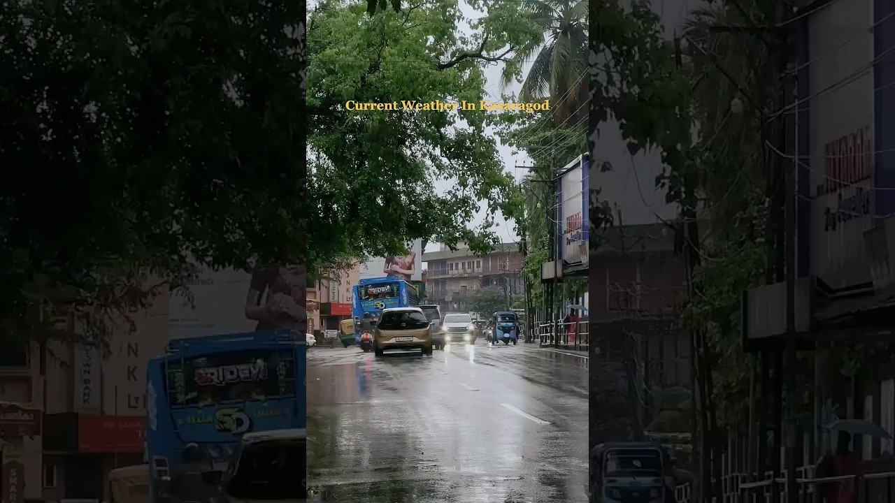 Current weather in Kasaragod &hellip;#rain #kasaragod #fyp #kerala