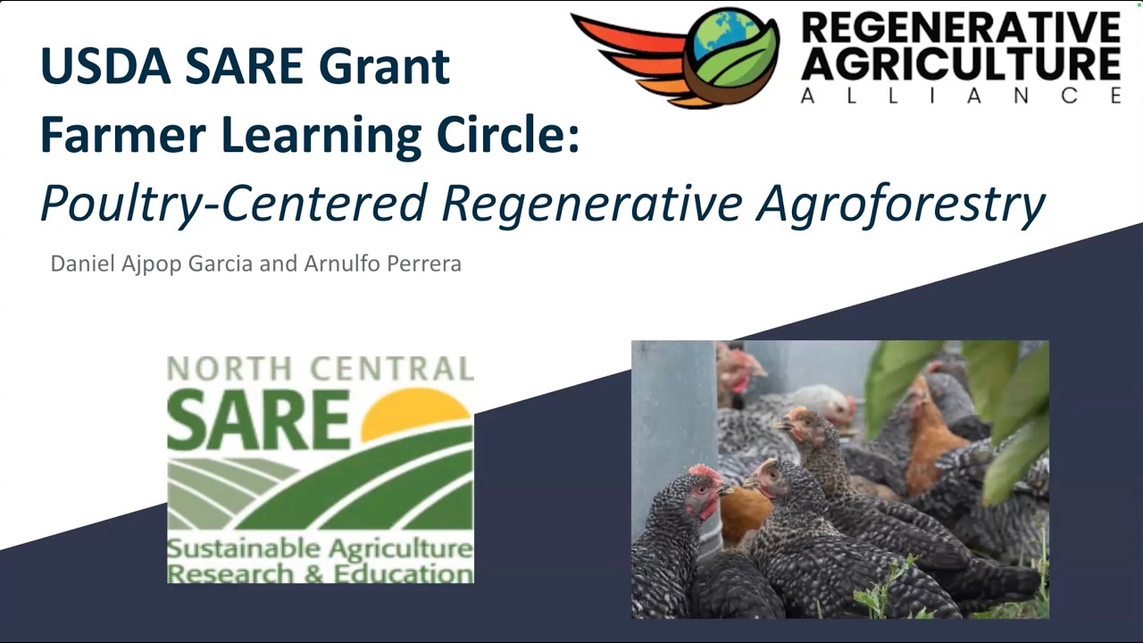 Daniel Ajpop and Arnulfo Perrera: Results from Pioneer Breed On-Farm Research